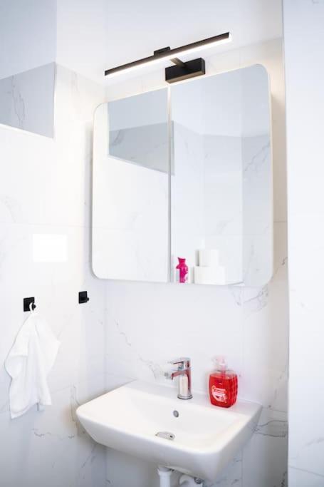 Zentrale & Ruhige 2 Zimmer - 42M² Apartamento Viena Exterior foto